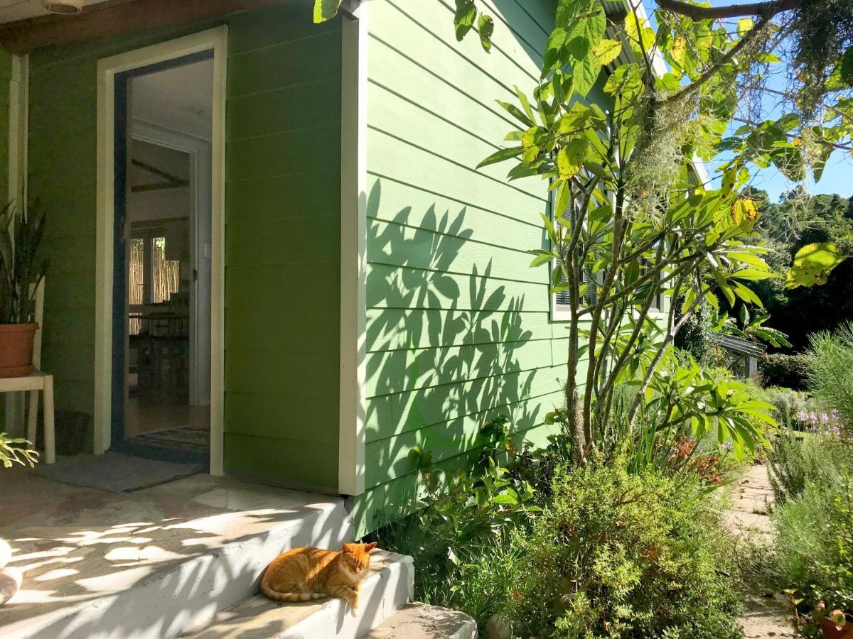 Loeriewood Garden Apartment, Hunters Home Knysna Exterior photo